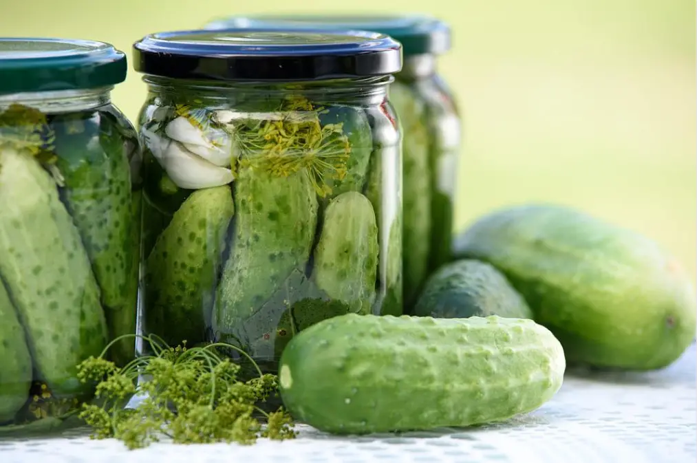 Are pickles low fodmap - image from pixabay by PhotoMIX-Company