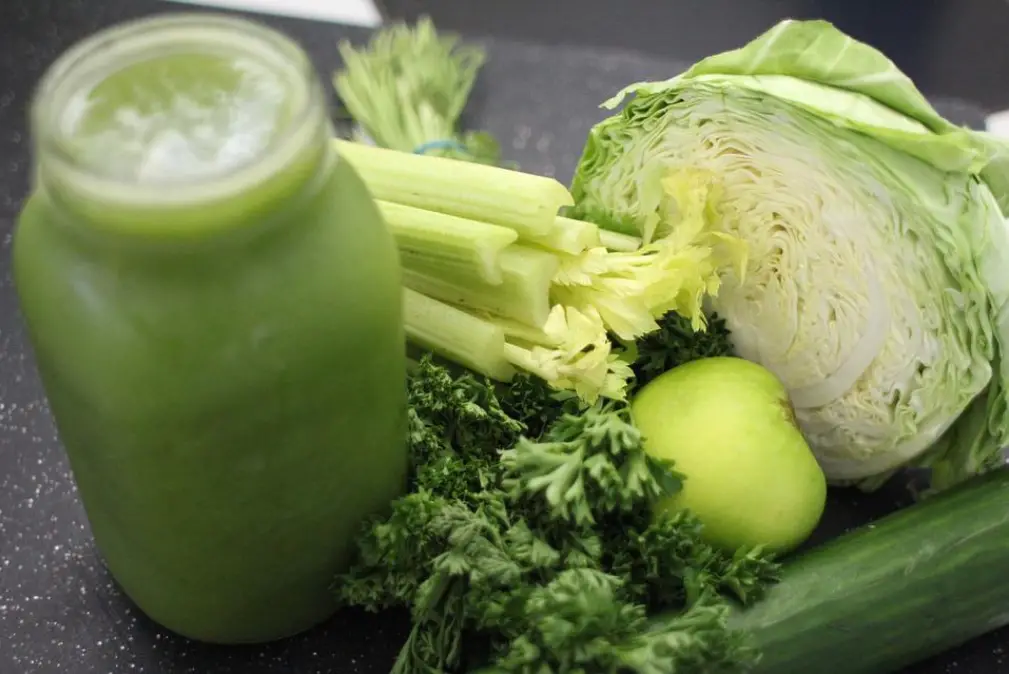 Is Celery Low FODMAP - image from pixabay by Rohtopia