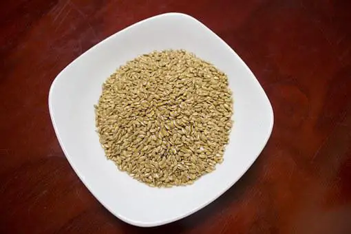 is flaxseed low fodmap