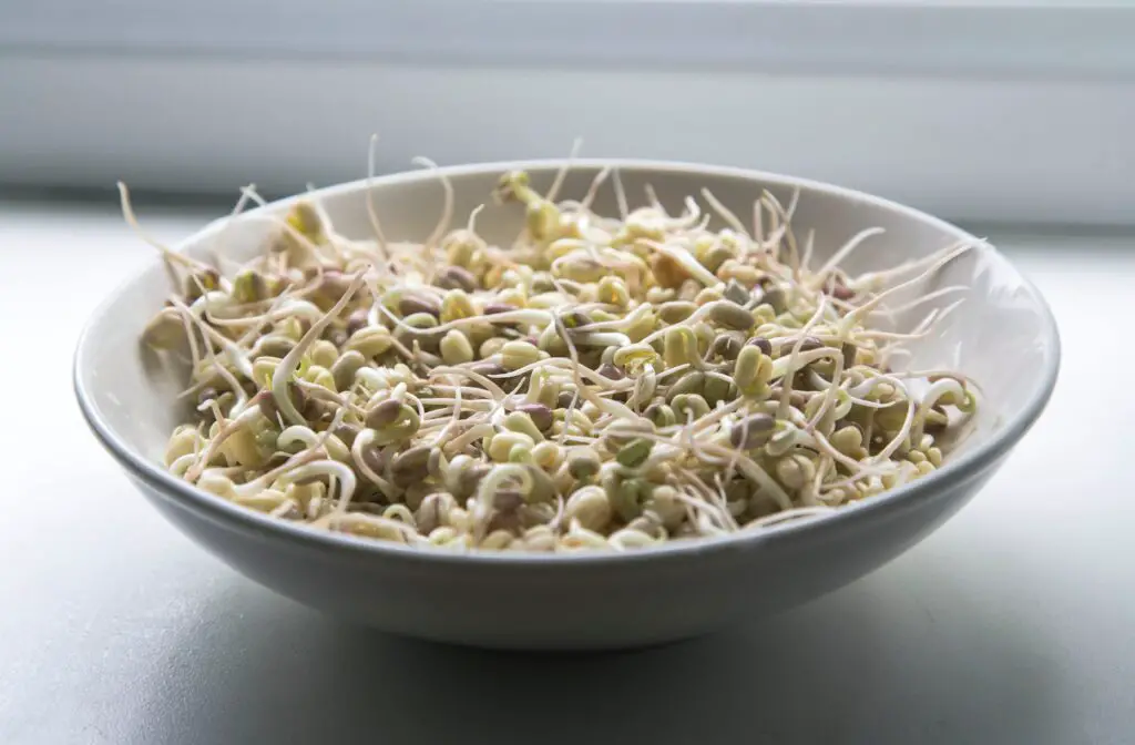 are bean sprouts low fodmap
