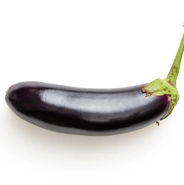 is eggplant low fodmap